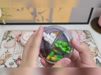 Storage Box Travel Outfit With Four Compartments