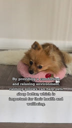 Dog Cat Sleeping Moon Pillow Small Dog Plush Pillow